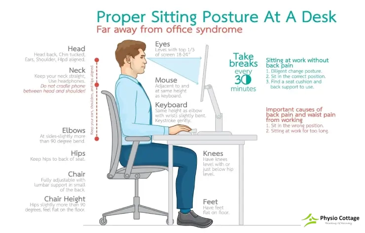 Infographic Best Physiotherapy Exercises for Office Workers
